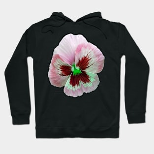 Pretty Pink Pansy Hoodie